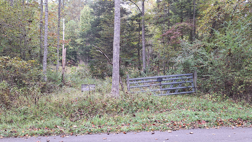 virginia_cemetery-2.PNG