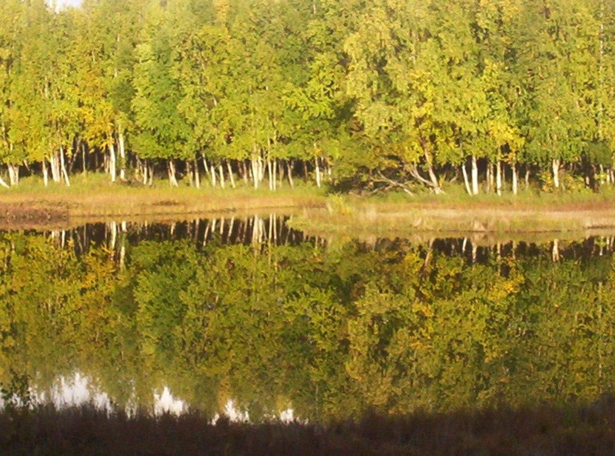 WalMart-Lake pics 004.jpg