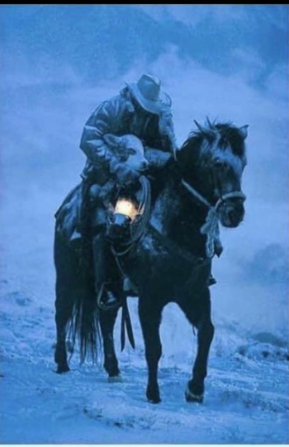 what-in-saddle-light-navigation-v0-xz4y4erqluy91.jpg