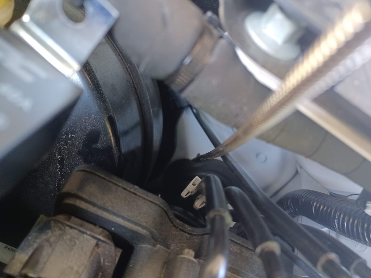 wiring 2.jpg
