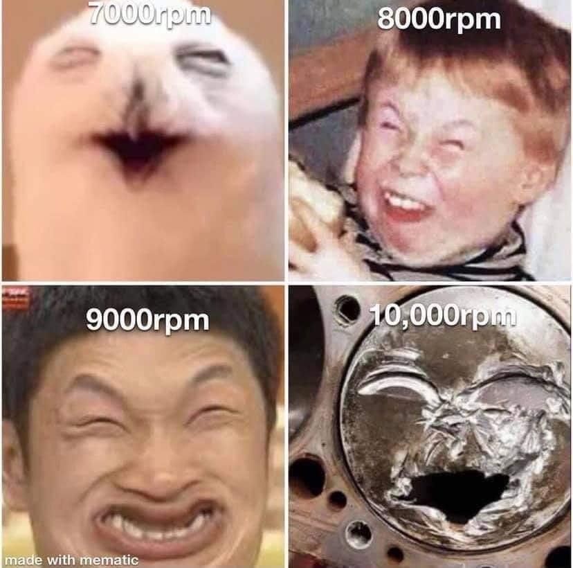 yrkoltulaap71.jpg