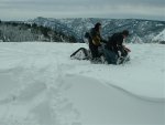beartracks4.jpg