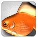 We need avatars