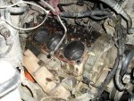 cracked heads 0132.jpg