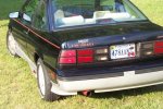 cavalier_004.jpg