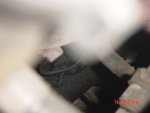 DSC04003.JPG