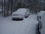 100_4284.jpg