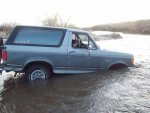 bronco2.jpg