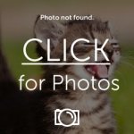 IMG_20160313_160926246.jpg