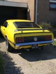 mustang.jpg