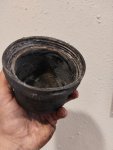 IMG_20240603_075822961.jpg