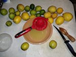 IMG_20240609_151754744.jpg