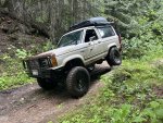 IMG_7402.jpeg