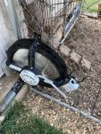 IMG_8180.jpeg