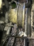 IMG_9098.jpeg