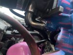 IMG_8533.jpeg