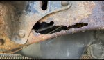 IMG_2236.jpeg