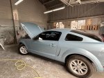 mustang left 2.jpg