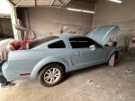 mustang right 2.jpg