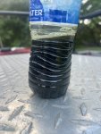 IMG_2984.jpeg