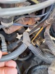 purge valve hoses.jpeg