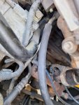 purge valve hose.jpeg