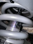 IMG_7876.jpeg