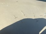 IMG_000098.jpg