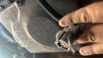 IMG_2145.jpeg