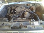 Engine bay.jpg