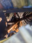 IMG_2564.jpeg