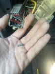 IMG_2565.jpeg