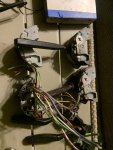 IMG_3985.jpeg