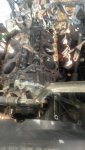 IMG_9157.jpeg