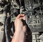 IMG_5053.jpeg