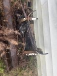 IMG_3134.jpeg