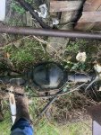 IMG_3133.jpeg