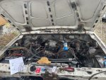 IMG_1177.jpeg