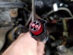 20160810_192128__1470879648_208.102.116.219.jpg