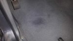wet spot.jpg