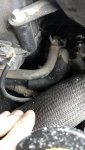 Vacuum Hoses - Close View reduced.jpg