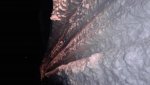 20170214_064703.jpg