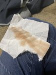 IMG_1422.jpeg