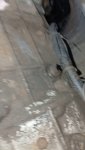 VideoCapture_20250131-095614.jpg