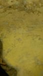 VideoCapture_20250131-095601.jpg
