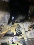 IMG_8141.jpeg