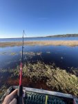 IMG_5626.jpeg