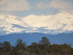 Sierra2.JPG