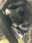 IMG_0420.jpeg
