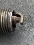 IMG_7905.jpeg